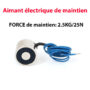 12V DC 2,5 kg Aimant levage électrique