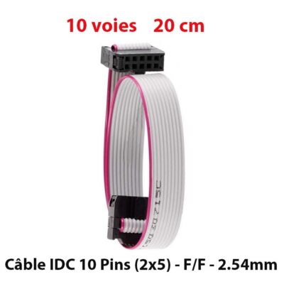 Câble IDC 10 pins (2×5) F/F 2.54mm – 20CM