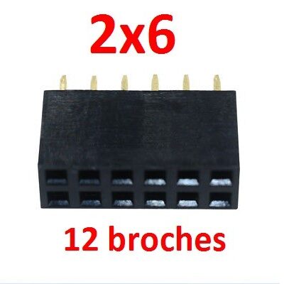 2×6 12 broches 2,54mm femelle connecteur PCB