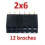 2x6 12 broches 2,54mm femelle connecteur PCB