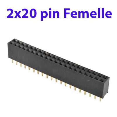 2×20 pin connecteur femelle (40 pin)