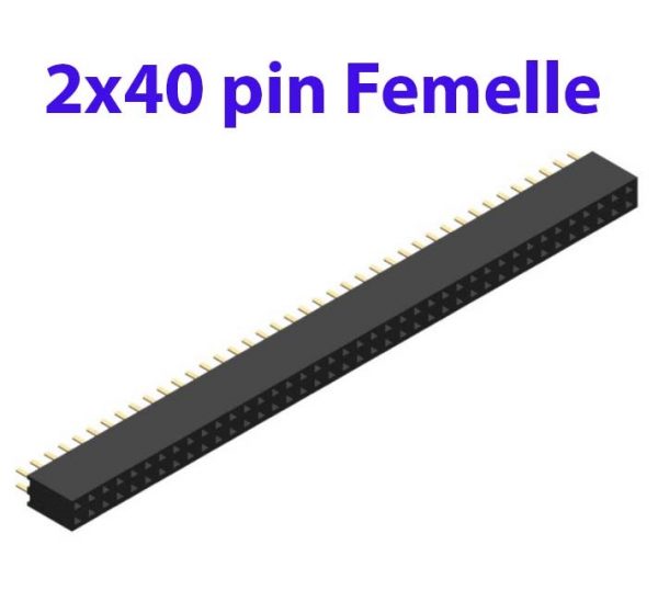 2x40 pin connecteur femelle (80 pin) - 2,54mm