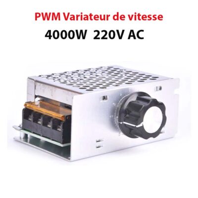 220V AC variateur de vitesse PWM 4000W