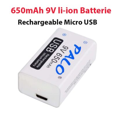 650mAh 9V 6F22 li-ion Batterie Rechargeable lithium Micro USB